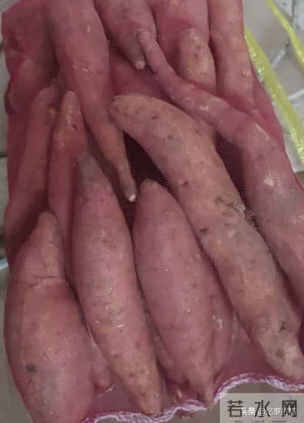 91年去姥姥家拜年，大舅追老远给半袋红薯，我妈骑着自行车哭一路