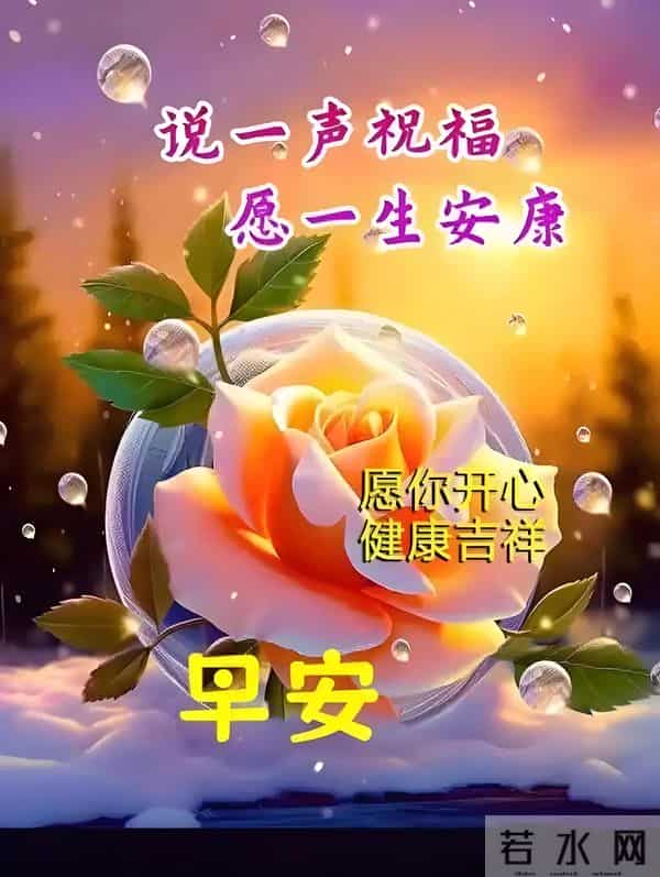 11月24日早上好 早上好问候图片最新今天 早安你好