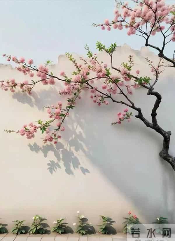 老了才发现，子女越有出息，父母的晚年往往越孤单！你认同吗？