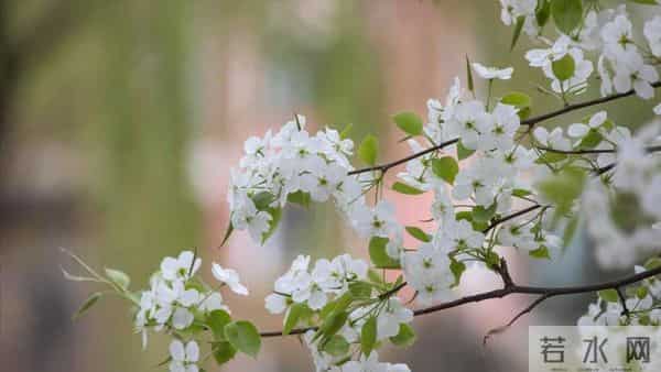 前夫退休跟我分居一年，回来跟我说：离婚吧，她已经有了我的孩子