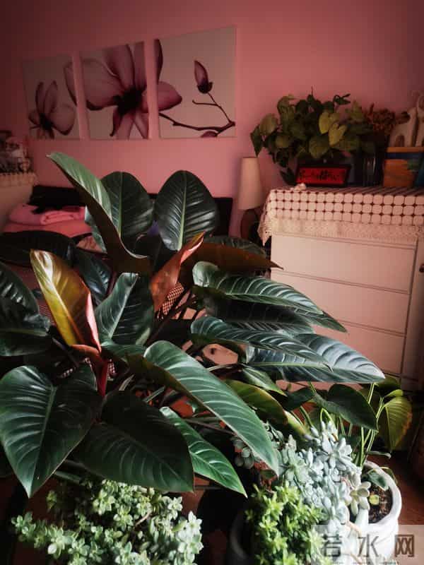 时间浅入冬，岁月深叠念。