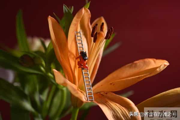 人生后半场:哄自己开心,才是最高级的养生