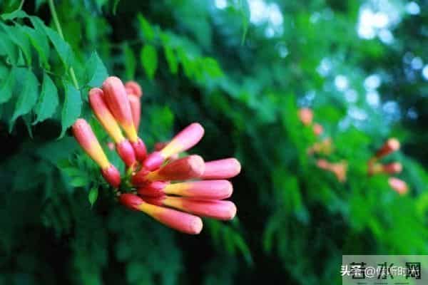 两性关系，惊人发现，60岁与异性靠近，根本不是桃花运，而是这