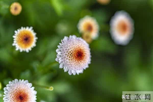 最舒服的两性关系：不是夫妻，却胜似夫妻