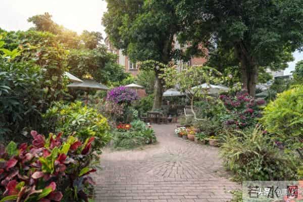 亲家经济状况如何,一看便知:没钱的亲家,大多有这几个穷喜好