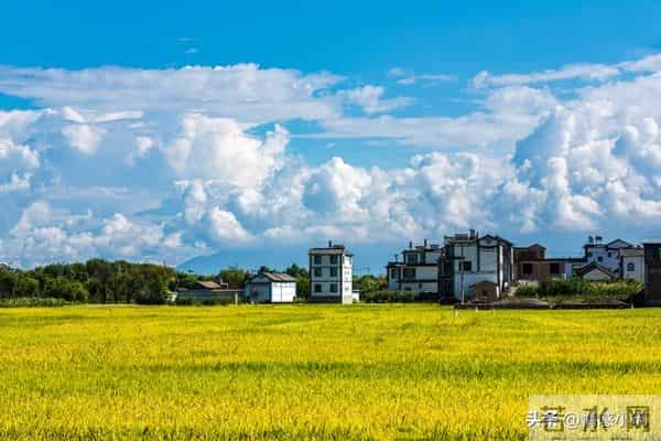 世界上最没用的是两件事：第一件是生气，第二件是这个