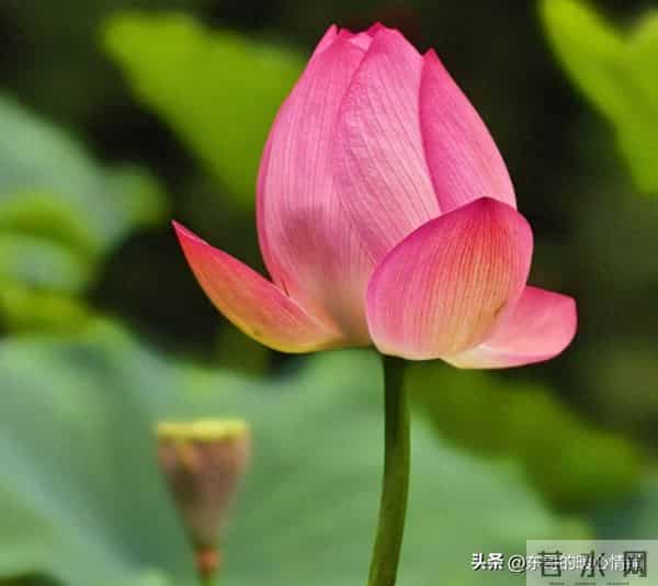 两性相处,中年女人最爱听的8句“心动话”,说对了感情更甜蜜