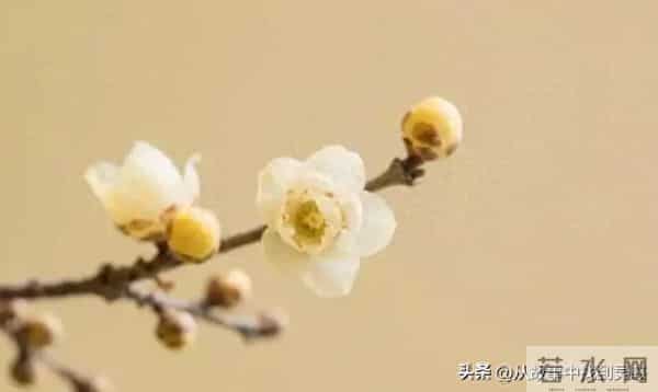 总有一个人，是你命中注定的情劫