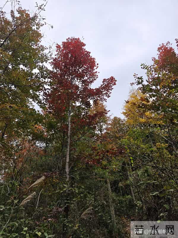 《借你的光走向希望》(原创)文-梧雨