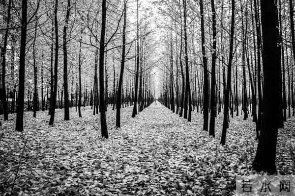 不管你信不信,女性过63岁后,基本都有如下6个现状!要坦然接受