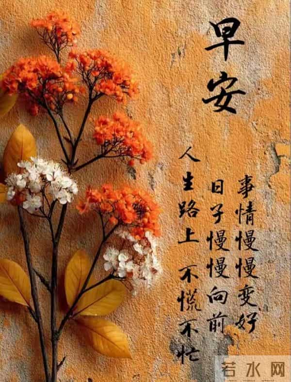 11月24日星期一早安祝福图片