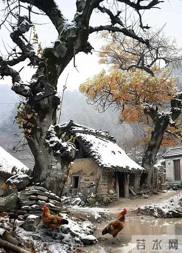 人过五十才恍然大悟:这“两样东西”才是咱们后半辈子最大的靠山