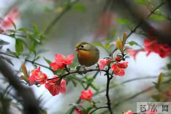 别划走!今天你的"福报”正在派送,请务必查收!