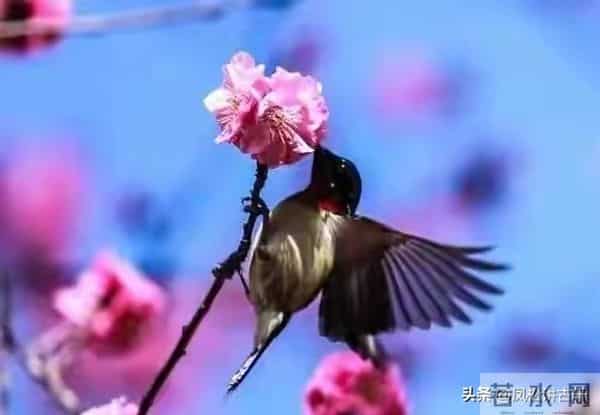 两性关系：越老的女人越喜欢什么？看了你就明白了