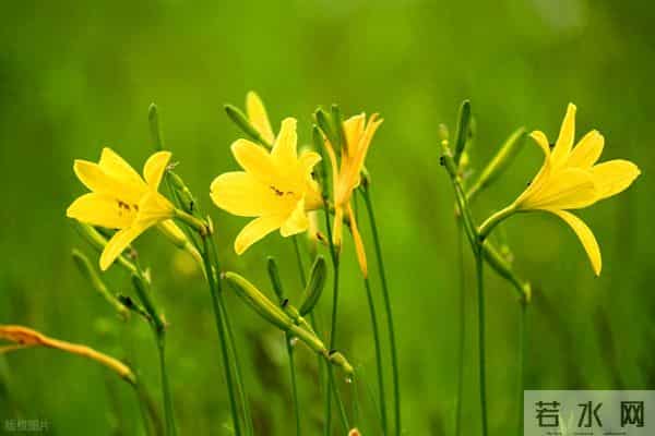 女人不拒绝你进入这些“私人”领地,是真的很爱你