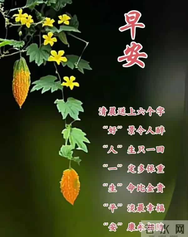 2025年11月25日早上好 早安周二愉快 早安精美美图温馨祝福语 早上好