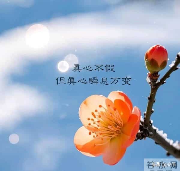 世界很甜,因为有你。