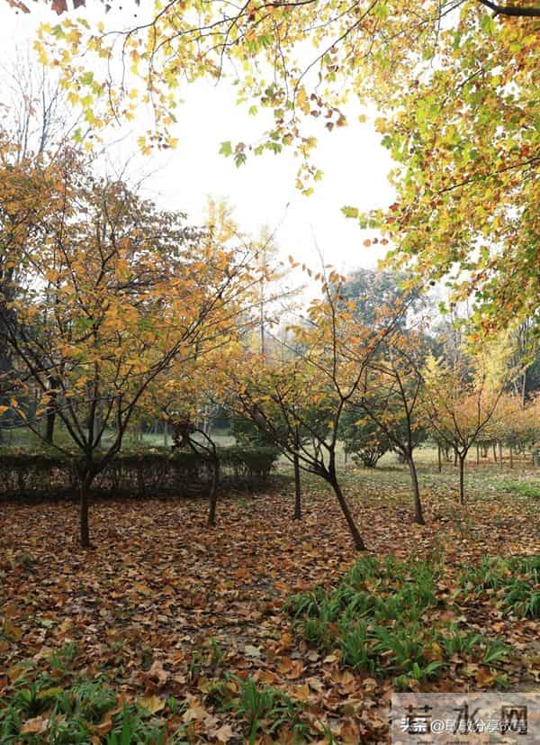 人到中年才惊醒:余生根本不长,别再把“现在”赊给以后