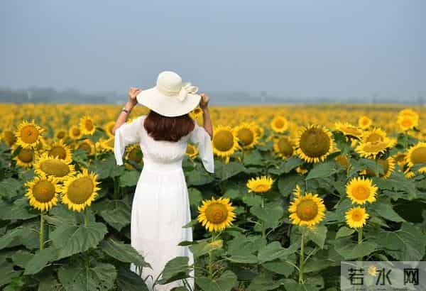 与人交往，最好有这10大城府，否则会被人欺负
