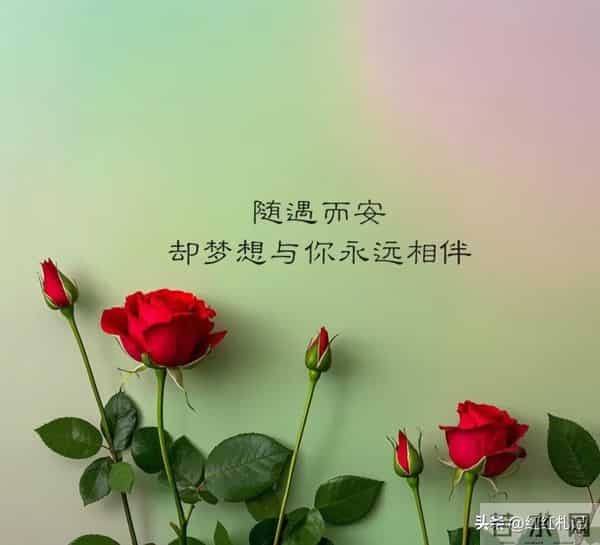 随遇而安,却梦想与你永远相伴。