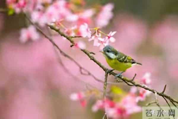 别划走!今天你的"福报”正在派送,请务必查收!