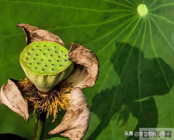 两性相处,中年女人最爱听的8句“心动话”,说对了感情更甜蜜