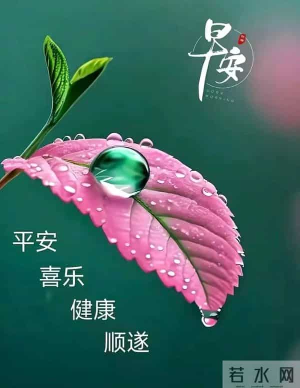 11月24日早上好 早上好图片最新今天 早安问候图片 早安暖心的句子