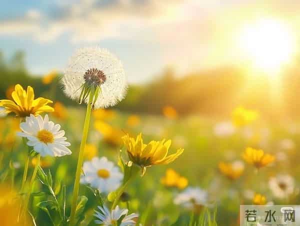 别再羡慕他人厉害,其实心态稳才是强者真正的“秘密武器”