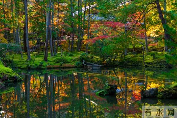 有福无福，4个特征一眼看穿！过半就算赢