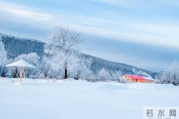 属猪人：11月需要敬而远之的3个人，看看你身边有吗？