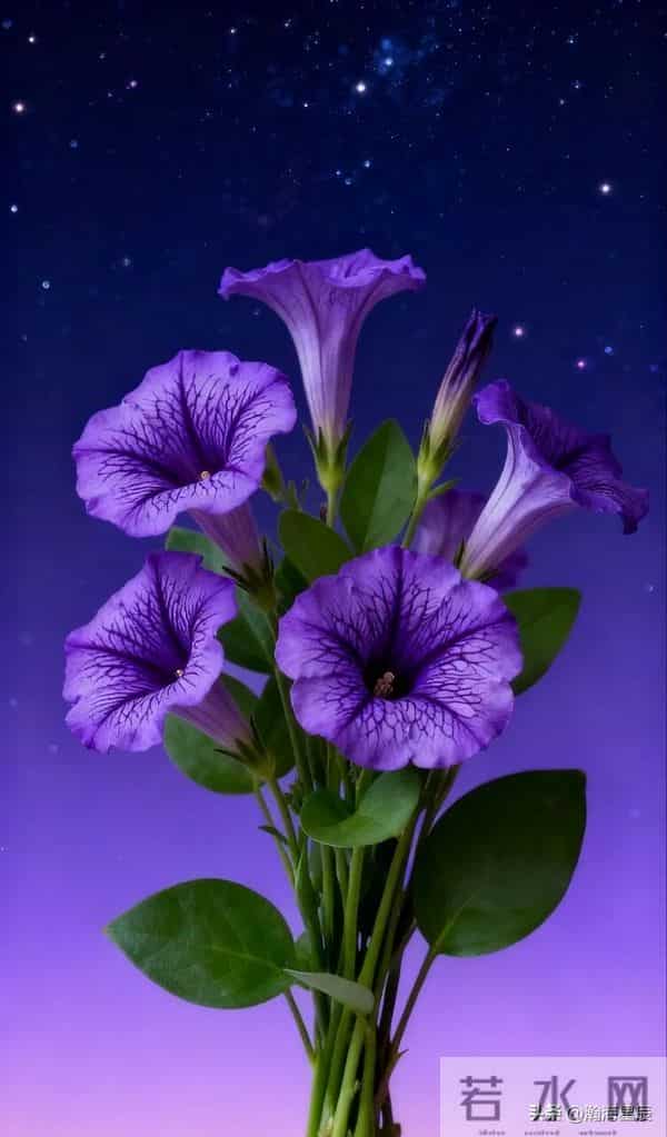 24句，上班挣钱的幽默句子，放松一下，调整心态，继续前行