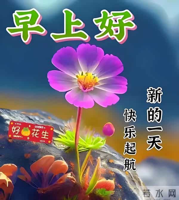 11月24日早上好 早上好问候图片最新今天 早安你好