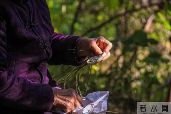 63岁的我,搭伙三次才知道,女人过了60岁找对象太难了,太真实。