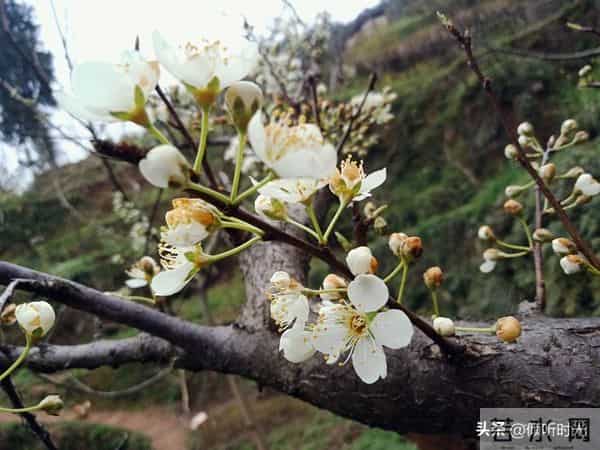 两性关系，惊人发现，60岁与异性靠近，根本不是桃花运，而是这