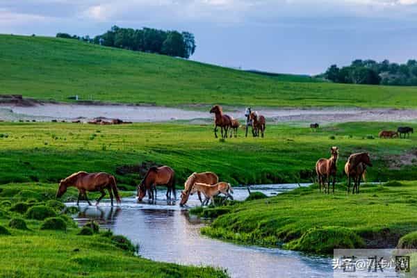 两性关系:80岁女性是否还对男性动心吗?听听80岁女性的真实想法