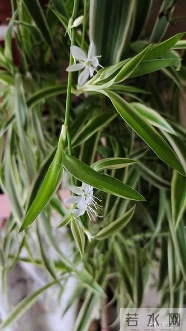 两性关系，惊人发现，60岁与异性靠近根本不是桃花运，而是这