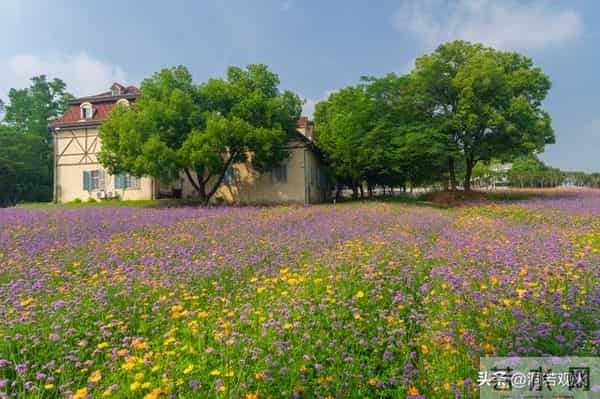 两性关系：55-65岁这十年，惜命的方式，不是锻炼，是做好这6点