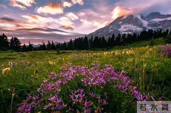 写给最爱的你：不能打扰，不能联系，就在梦里一直陪着你