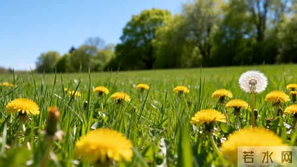 真正毁掉一个家庭的，不是妻子太强势，而是丈夫太“老实”