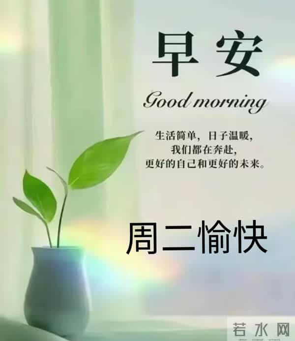 2025年11月25日早上好 早上好温馨问候祝福语 早安精美图片 周二愉快