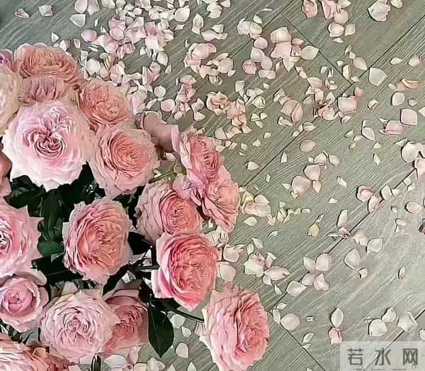 2026翻身预警！默默熬了好久的人，终于要厚积薄发了！