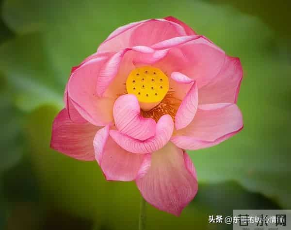 两性相处,中年女人最爱听的8句“心动话”,说对了感情更甜蜜