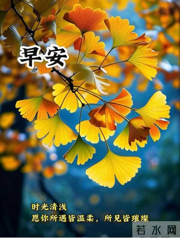 11月24日早上好 早上好图片最新今天 早安问候图片 早安暖心的句子