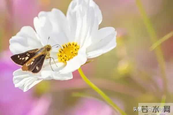 一个男人爱不爱自己的老婆,本质上跟女人没有关系,而是这点