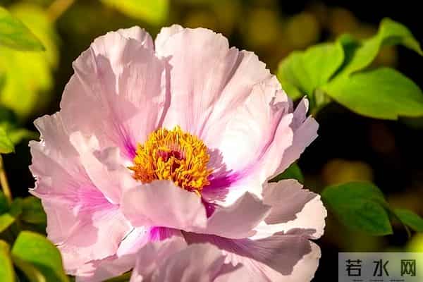 异性之间！这三个默许，就是相互喜欢