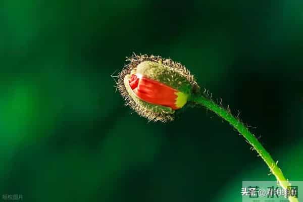 不要欺负善良人,善良人不会报复,但老天会替善良人清算报复