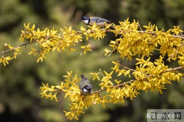 请接受这运程，你的孩子越来越顺