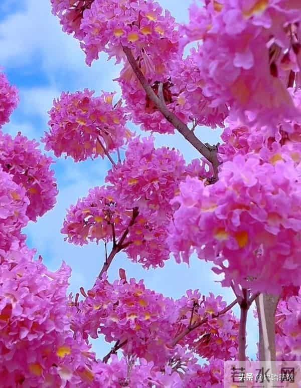 情感:女人真正爱你入骨的,才愿意对你暴露这两个隐私