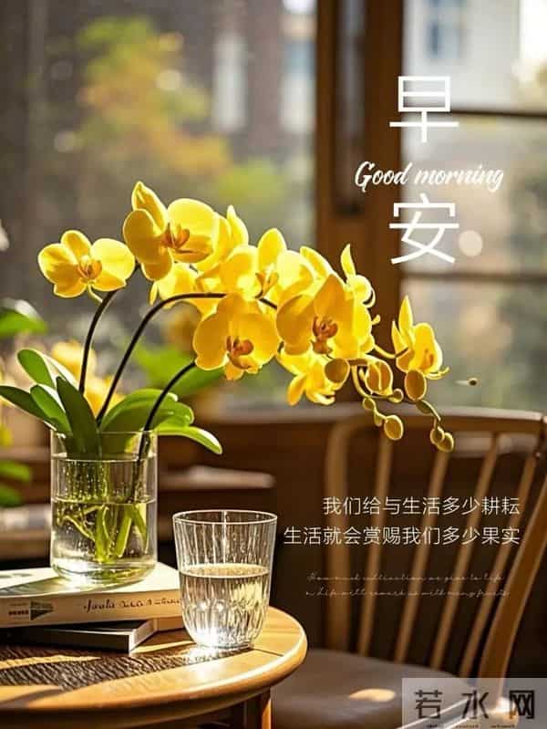 11月24日早上好 早上好图片最新今天 早安问候图片 早安暖心的句子