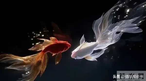 第一名:双鱼座别再犹豫了,老天早已暗示你要避开谁